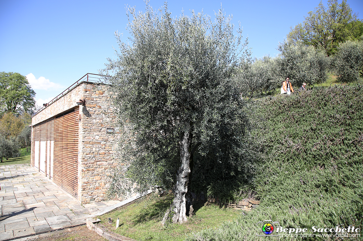 VBS_7181 - PressTour educational dedicato ai vini del Pinerolese e all’olio prodotto sulla collina di Pinerolo.jpg